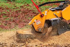 Best Tree and Shrub Care  in Unionville, MO